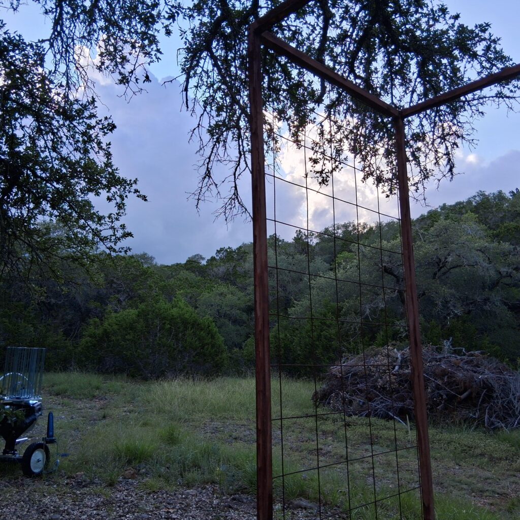 Sporting Clays