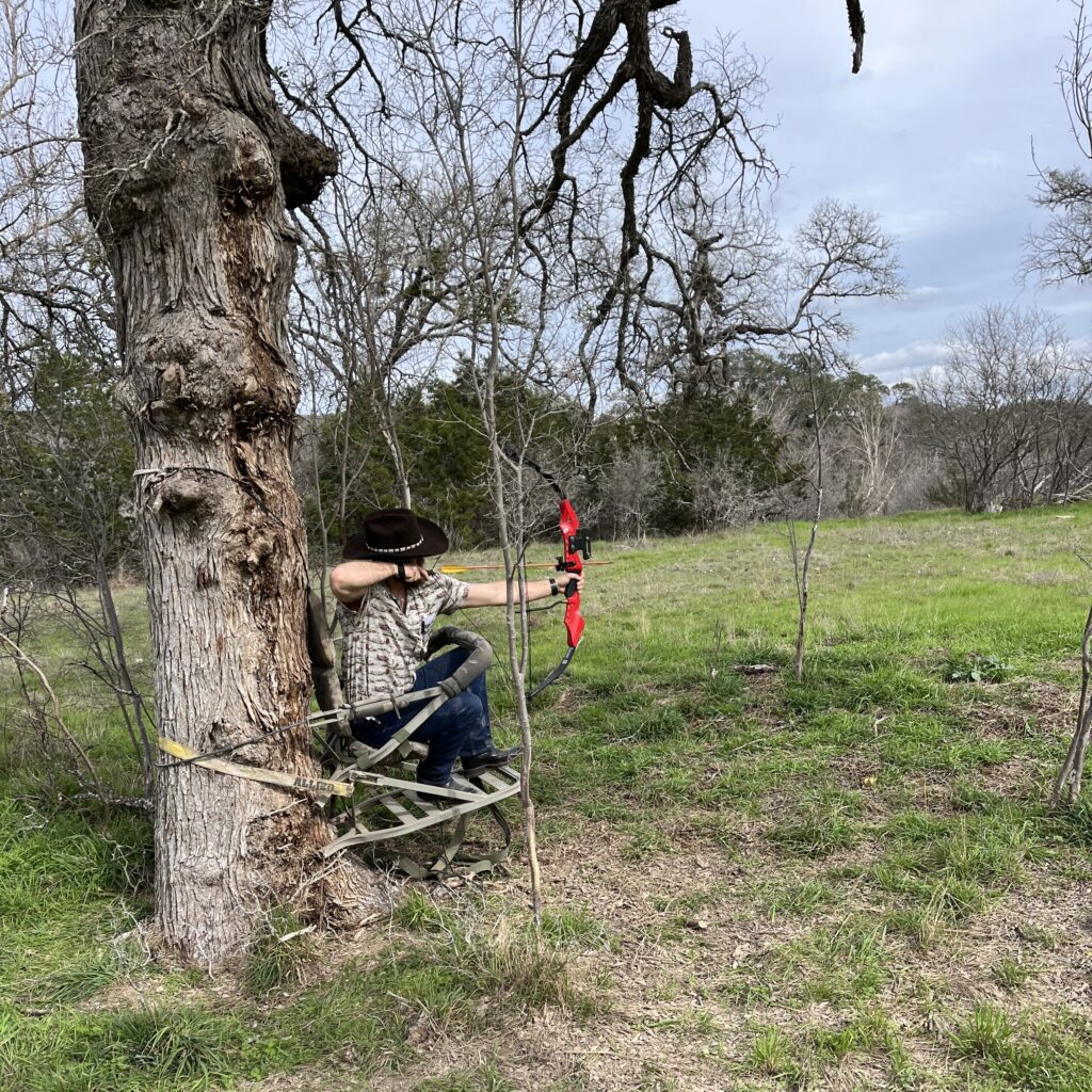 Archery Range tree stand
